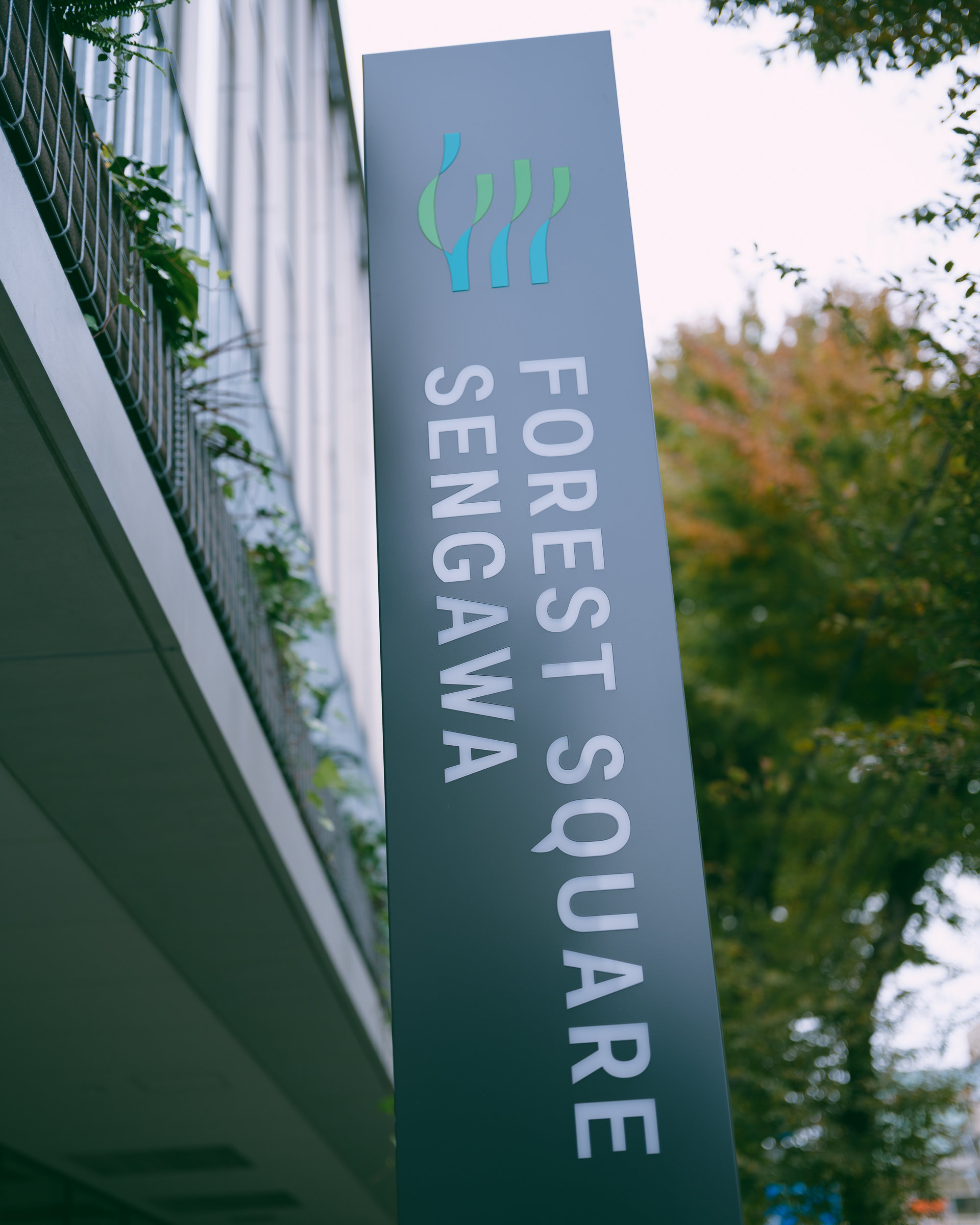 12月9日「フォレストスクエア仙川」がオープンします